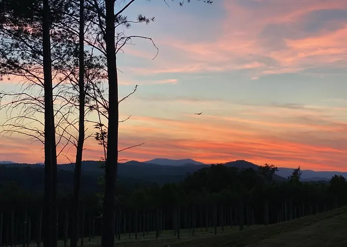 A Suite With A View + Wine